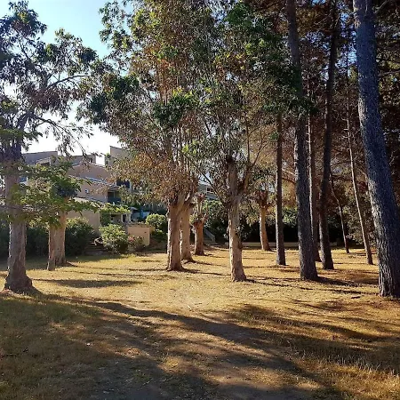 Corse Avec Acces Direct A La La Liscia *