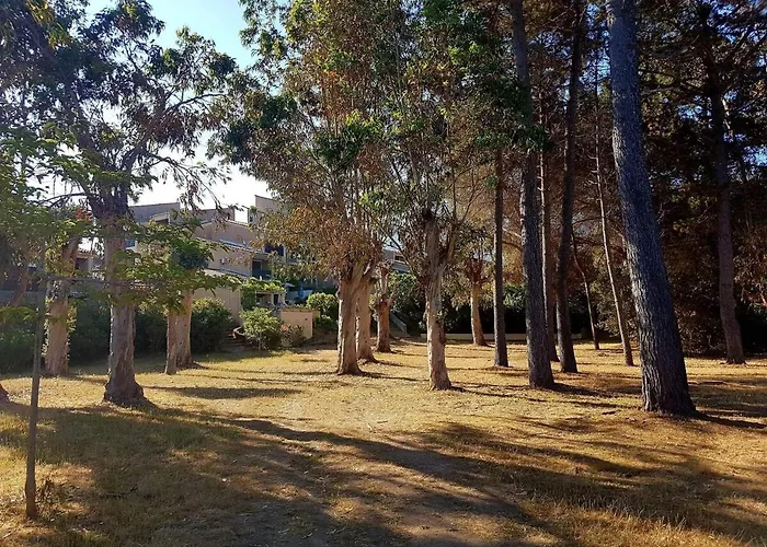 Appartement Corse Avec Acces Direct A La La Liscia Calcatoggio (Corsica)